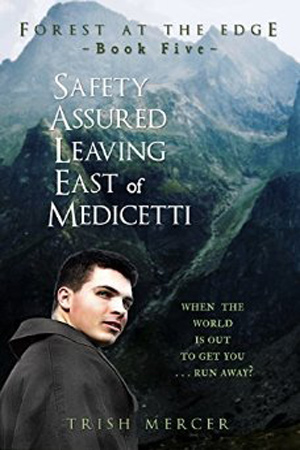 Safety Assured Leaving East of Medicetti