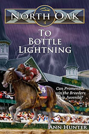 North Oak: To Bottle Lightning by Ann Hunter