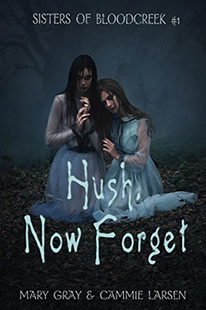 Hush, Now Forget by Mary Gray and Cammie Larson