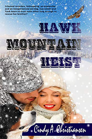 Hawk Mountain Heist by Cindy A. Christiansen