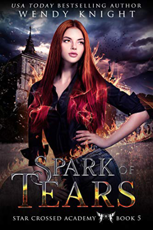 Spark of Tears by Wendy Knight