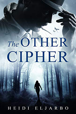 Soli Hansen: The Other Cipher by Heidi Eljarbo