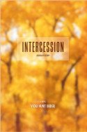 Intercession: Jessica’s Story by Vicki Hunt Budge