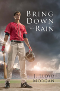 Bring Down the Rain by J. Lloyd Morgan