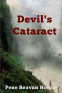 Devil’s Cataract by Pene Beavan Horton