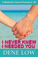 I Never Knew I Needed You by Dene Low