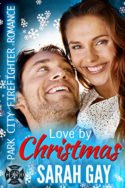 Love by Christmas by Sarah Gay