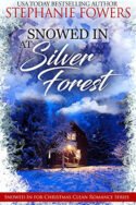 Snowed in at Silver Forest by Stephanie Fowers