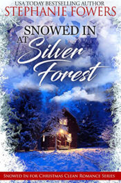 Snowed in at Silver Forest by Stephanie Fowers